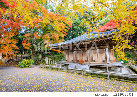 秋の富貴寺　大分県豊後高田市 121903301