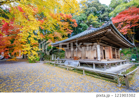 秋の富貴寺 大分県豊後高田市 秋の富貴寺 大分県豊後高田市 121903302