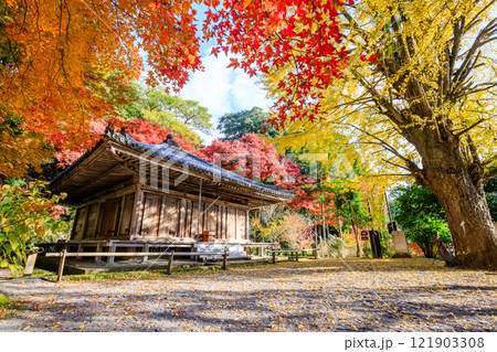 秋の富貴寺 大分県豊後高田市 秋の富貴寺 大分県豊後高田市 121903308