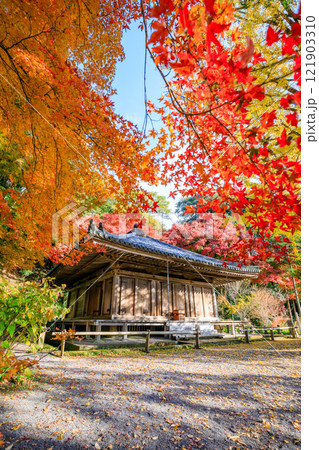 秋の富貴寺　大分県豊後高田市 121903310