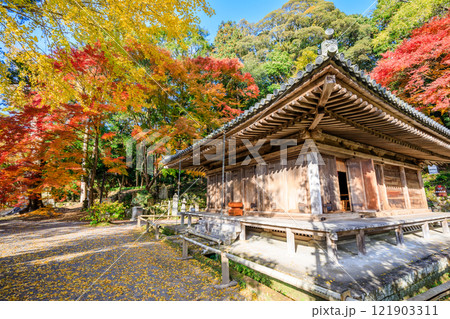 秋の富貴寺　大分県豊後高田市 121903311