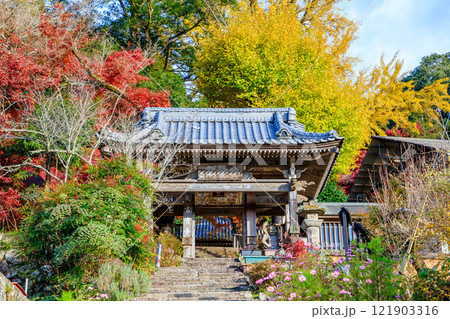 秋の富貴寺　大分県豊後高田市 121903316