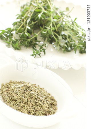 ハーブのタイムとドライタイム ハーブのタイムとドライタイム 121903735