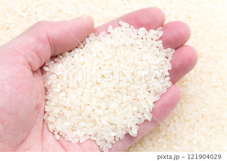 うるち米　お米 121904029