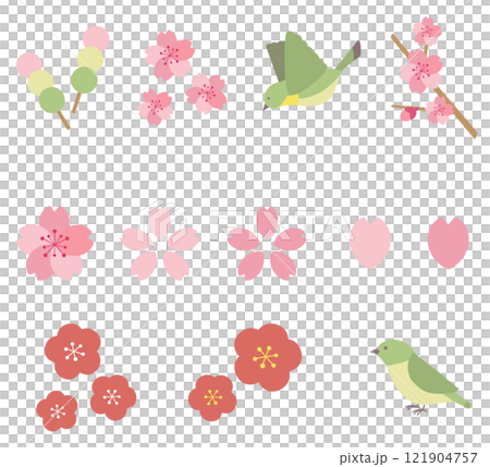 Cute illustration set of plum, cherry blossom and Japanese bush warbler Cute illustration set of plum, cherry blossom and Japanese bush warbler 121904757