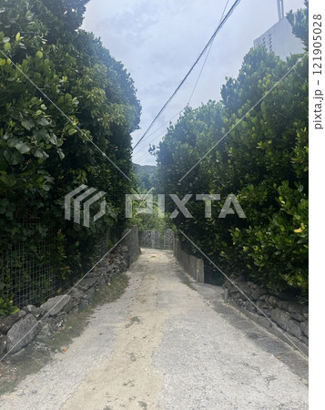 海へ続く道 121905028