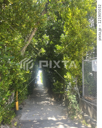 緑に囲まれた小道 121905032