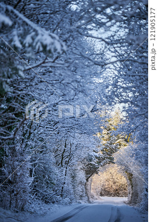 Frosty forest snow road early morning blue sky 121905177