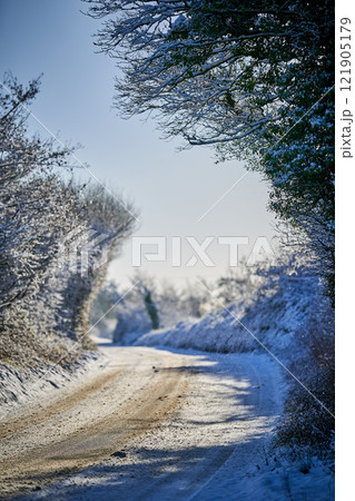 Frosty forest snow road early morning blue sky Frosty forest snow road early morning blue sky 121905179
