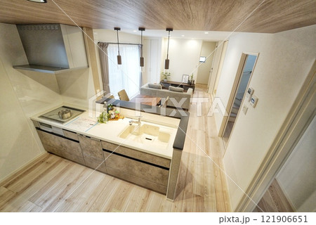 ペット同居型デザイナーズ住宅のお洒落なキッチン 121906651