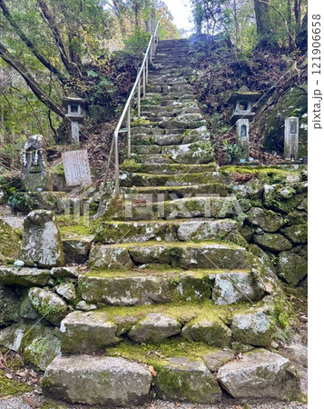 阪内不動堂境内苔むした階段 121906658