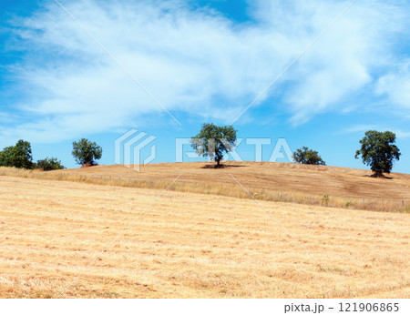 Summer countryside, Italy 121906865