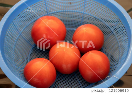 プラスチックのザルの中の赤いトマト 121906910