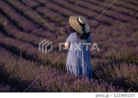 Lavender Provence Woman Harvesting: Summer, France, photo depicting a woman in a dress and hat harvesting lavender in a field during the summer. Lavender Provence Woman Harvesting: Summer, France, photo depicting a woman in a dress and hat harvesting lavender in a field during the summer. 121908103