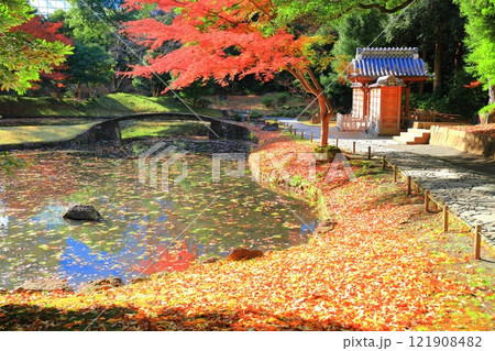 【東京都】快晴のシンメトリーな小石川後楽園の内庭の紅葉 121908482