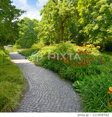 beautiful flowers and trees in the park 121908562