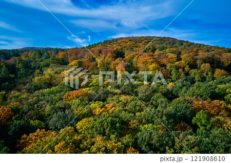 Aerial view of colorful autumn forest covering rolling hills under bright sky. Panoramic view on mountains covered in colorful pine trees. Beautiful nature landscape Aerial view of colorful autumn forest covering rolling hills under bright sky. Panoramic view on mountains covered in colorful pine trees. Beautiful nature landscape 121908610