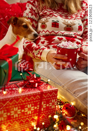 Woman wearing Christmas sweater holding mug of hot chocolate with marshmallows, her Jack Russell Terrier dog sitting near wrapped gifts and glowing lights. Cozy Christmas scene at home 121908623