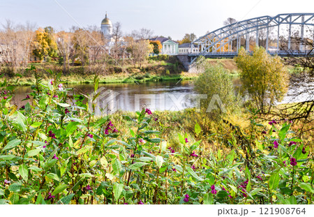 Wild flowers against the backdrop of an arched bridge and a church in Borovichi, Russia. Selective focus on flowers Wild flowers against the backdrop of an arched bridge and a church in Borovichi, Russia. Selective focus on flowers 121908764
