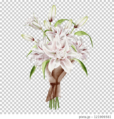 Bouquet of lilies. Vintage retro bouquet of lilies and buds. Delicate white and pink lilies. Craft paper wrapper for bouquet. Tied with a rope. Watercolor illustration without background. Bouquet of lilies. Vintage retro bouquet of lilies and buds. Delicate white and pink lilies. Craft paper wrapper for bouquet. Tied with a rope. Watercolor illustration without background. 121909381