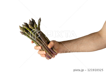 Raw Garden Asparagus, Fresh Green Spring Vegetables, Asparagus Officinalis Edible Sprouts 121910325