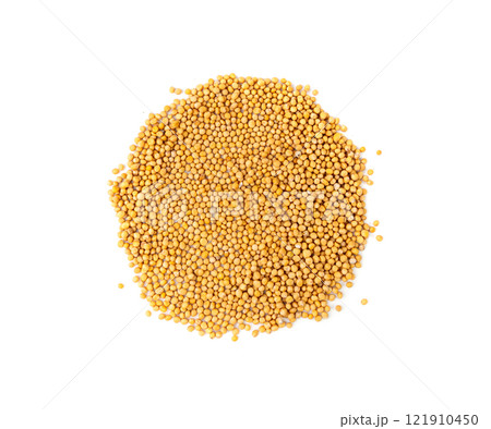 Mustard seeds isolated, dry yellow sinapis alba grains, mostarde balls on white background Mustard seeds isolated, dry yellow sinapis alba grains, mostarde balls on white background 121910450