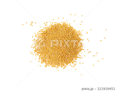 Mustard seeds isolated, dry yellow sinapis alba grains, mostarde balls on white background Mustard seeds isolated, dry yellow sinapis alba grains, mostarde balls on white background 121910451