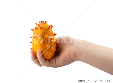 Kiwano isolated, jelly melon, cucumis metuliferus ripe fruit, orange horned melon, african horned cucumber 121910933