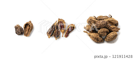 Black Cardamom Seeds Isolated, Brown Cardamon, Dry Kardamon Fruits, Cardamum Spice, Cardamomum Black Cardamom Seeds Isolated, Brown Cardamon, Dry Kardamon Fruits, Cardamum Spice, Cardamomum 121911428