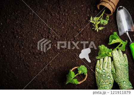 Garden tools and plants Garden tools and plants 121911879