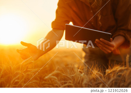 Peasant woman with tablet checks growth progress of wheat field. Smart farming and digital farming. 121912026