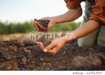 Expert hand of farmer woman checking soil health before growth seed of vegetable. Gardening concept. 121912037