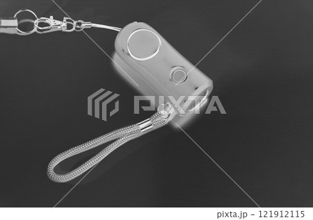 懐中電灯の機能を備えた防犯ブザー(色反転:緊急イメージ) 懐中電灯の機能を備えた防犯ブザー(色反転:緊急イメージ) 121912115