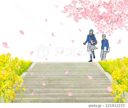 桜の木と菜の花咲く土手沿いを歩く学生男女ー土手に階段ー卒業入学ー人物ベクターイラスト白バック背景素材 121912233