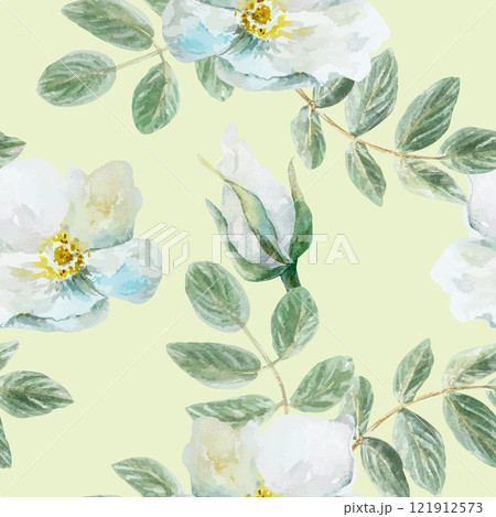 White flowers with green leaves seamless pattern, watercolor. Hand drawn vector illustration. For cards, labels, covers, wallpapers, fabric, textile. White flowers with green leaves seamless pattern, watercolor. Hand drawn vector illustration. For cards, labels, covers, wallpapers, fabric, textile. 121912573