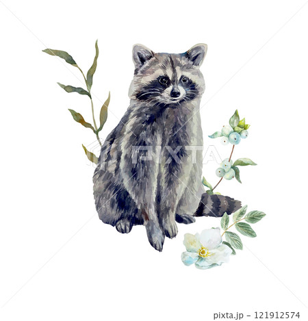 Raccoon sitting with green twig and white flower, watercolor. Vector illustration of forest animal. For cards, covers, labels, wildlife protection day Raccoon sitting with green twig and white flower, watercolor. Vector illustration of forest animal. For cards, covers, labels, wildlife protection day 121912574