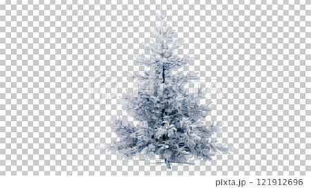 Snow covered artificial Christmas tree in a bright indoor setting during winter season 121912696