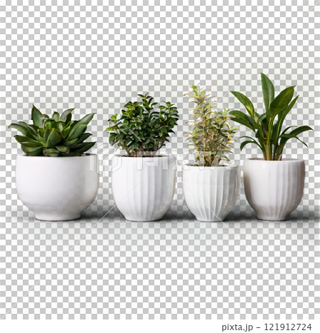 A variety of potted plants in colorful ceramic pots arranged on a light surface in the afternoon 121912724
