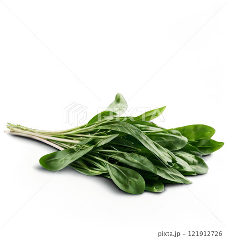 Freshly harvested green leafy vegetables tied in a bundle against a white background Freshly harvested green leafy vegetables tied in a bundle against a white background 121912726