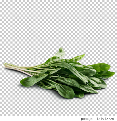 Freshly harvested green leafy vegetables tied in a bundle against a white background 121912726