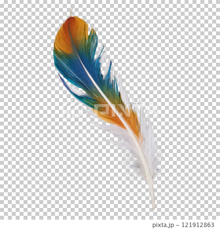 Vibrant peacock feather displaying brilliant colors against a neutral background in natural light Vibrant peacock feather displaying brilliant colors against a neutral background in natural light 121912863