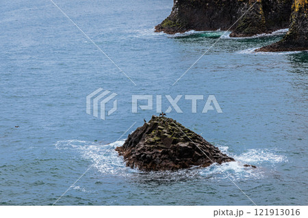 Cliffs on the coast of Arnarstapi on the island of Iceland 121913016