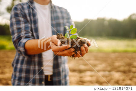 Man in a shirt holds a green plant in his hands. Caring for the environment. Man in a shirt holds a green plant in his hands. Caring for the environment. 121914071