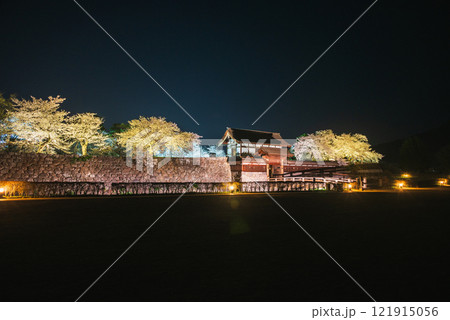 松代城跡の夜桜【長野市】 121915056