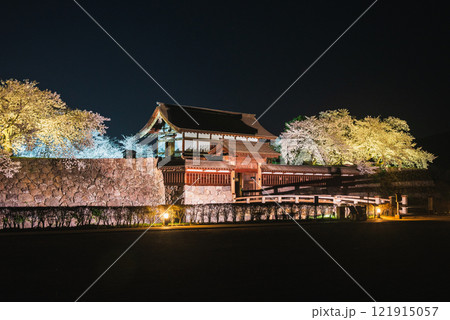 松代城跡の夜桜【長野市】 松代城跡の夜桜【長野市】 121915057