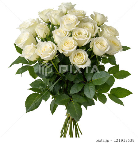 Beautiful bouquet of blooming white roses isolated on the transparent background Beautiful bouquet of blooming white roses isolated on the transparent background 121915539