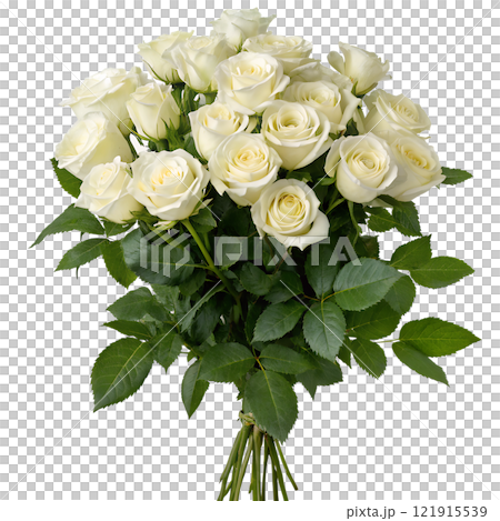 Beautiful bouquet of blooming white roses isolated on the transparent background Beautiful bouquet of blooming white roses isolated on the transparent background 121915539