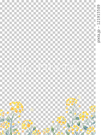 油菜花和蝴蝶框架垂直水彩觸摸 油菜花和蝴蝶框架垂直水彩觸摸 121915589