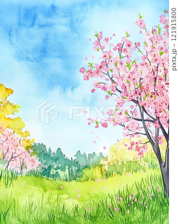 春の風景 桜と新緑 青空に舞い散る花びらが美しい公園 121915800