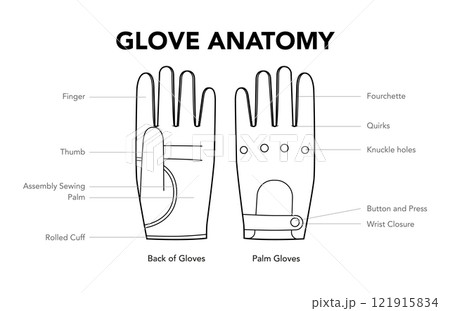 Gloves Anatomy diagram with name parts text Fashion hand accessory clothing technical illustration garment. Vector for Gloves Anatomy diagram with name parts text Fashion hand accessory clothing technical illustration garment. Vector for 121915834